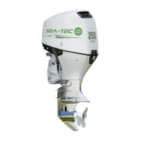 Электрический подвесной лодочный мотор SEA-TEC PNE 250 л.с