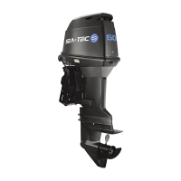 Двухтактный лодочный мотор SEA-TEC PNT мощностью 60 л.с.  