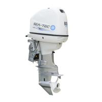 Дизельный подвесной лодочный мотор SEA-TEC PND 60 л.с.