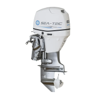 Четырёхтактный подвесной лодочный мотор SEA-TEC PNF 60 л.с
