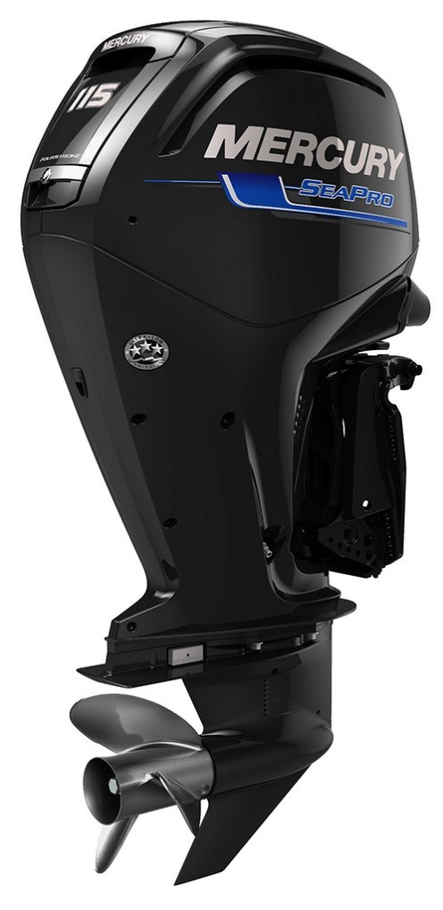 mercury f 115.jpg